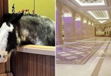 Самый роскошный конный клуб в мире