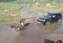 Автоприколы