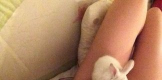 Хорошие девочки ;) # 28.05.2017