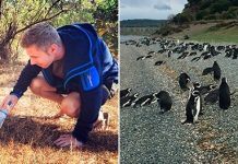 Ирландец посетил все страны мира и заработал миллион долларов