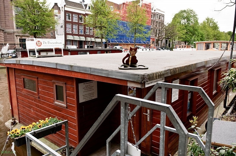 De Poezenboot – плавучий приют для кошек в Амстердаме