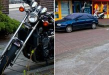 Городские цапли Амстердама