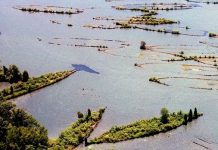 Призрачный флот залива Mallows в США