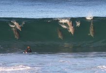 Дельфиний серфинг в Австралии