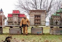 Канадский плотник строит удивительные деревянные дворцы для птиц