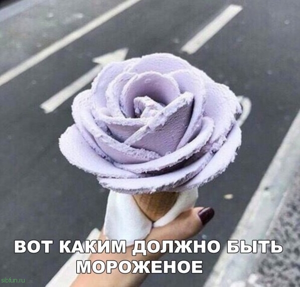 Прикольные картинки )))