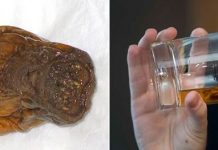 Sourtoe – коктейль с отрубленным человеческим пальцем, который можно попробовать в Канаде