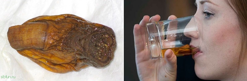Sourtoe – коктейль с отрубленным человеческим пальцем, который можно попробовать в Канаде