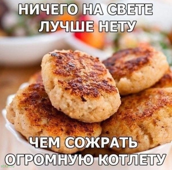 Прикольные картинки )))