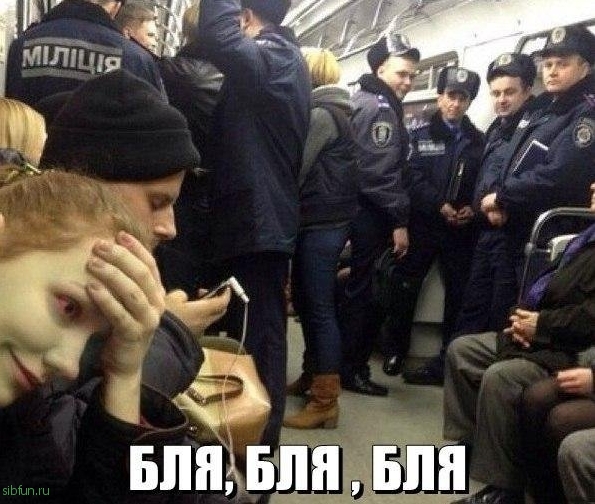 Прикольные картинки )))