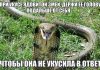 Свежие анекдоты посмеяться