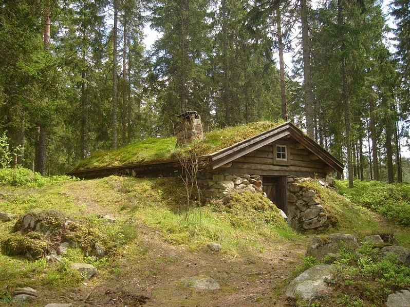 Фото землянки в лесу