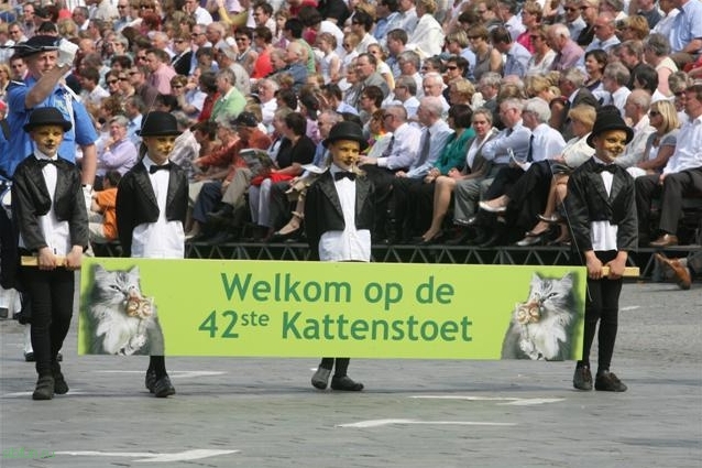 Kattenstoet – фестиваль кошек в Бельгии