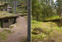 Backstuga – необычная землянка в Швеции для любителей эко-туризма