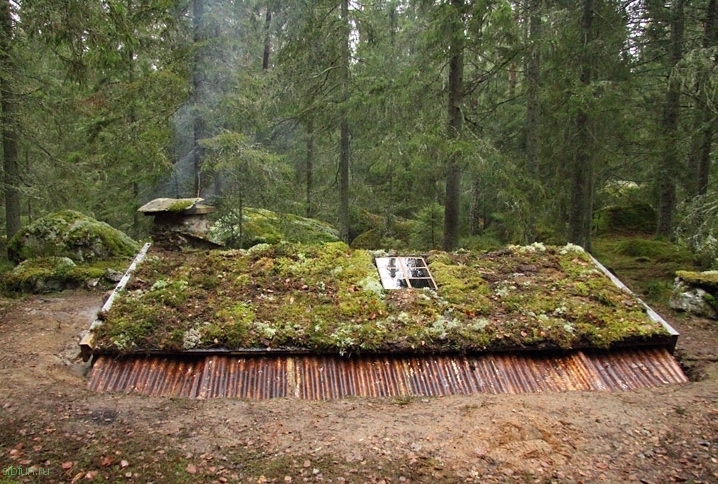 Backstuga – необычная землянка в Швеции для любителей эко-туризма