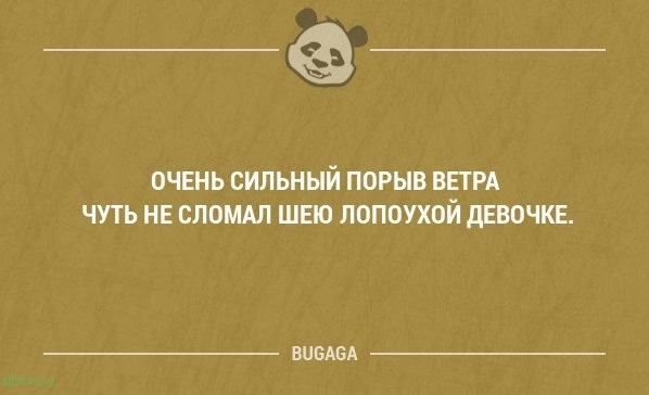 Прикольные фразы в картинках с надписями. Часть 61 