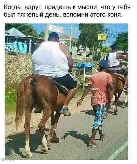 Прикольные картинки )))