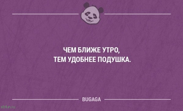 Прикольные фразы в картинках с надписями. Часть 61 