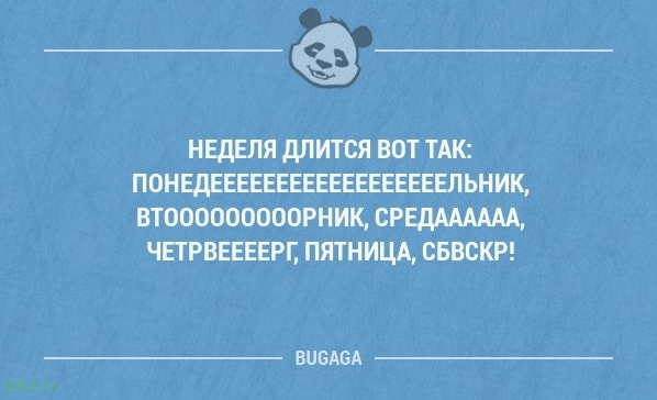 Прикольные фразы в картинках с надписями. Часть 64 