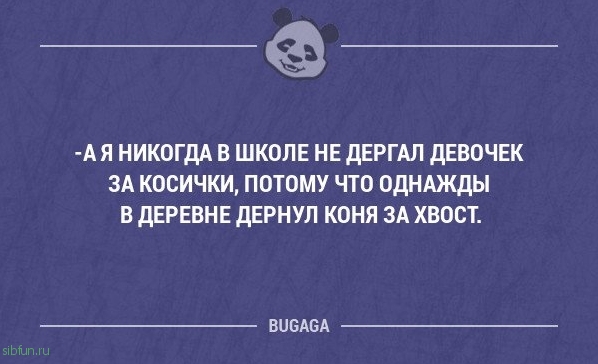 Забавные мысли и смешные высказывания. Часть 48 