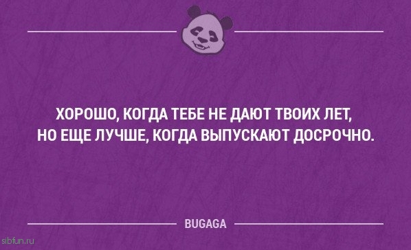 Прикольные фразы в картинках с надписями. Часть 61 