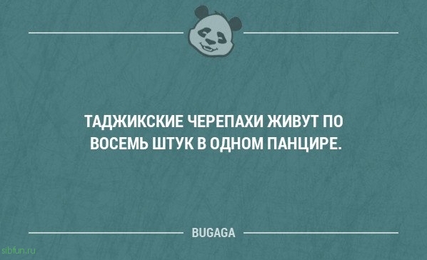 Прикольные фразы в картинках с надписями. Часть 61 