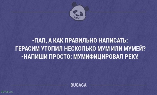 Прикольные фразы в картинках с надписями. Часть 64 