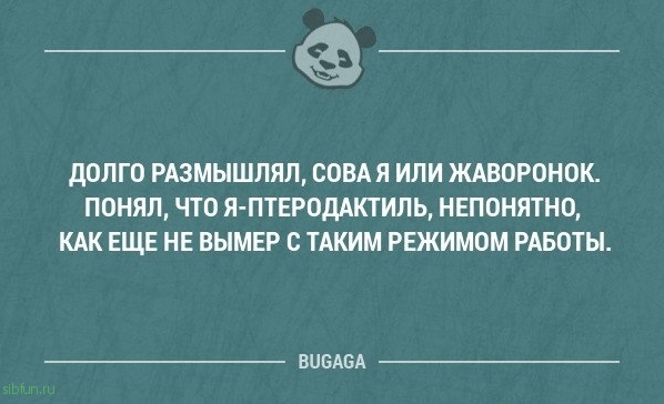 Прикольные высказывания в картинках с надписями. Часть 51 