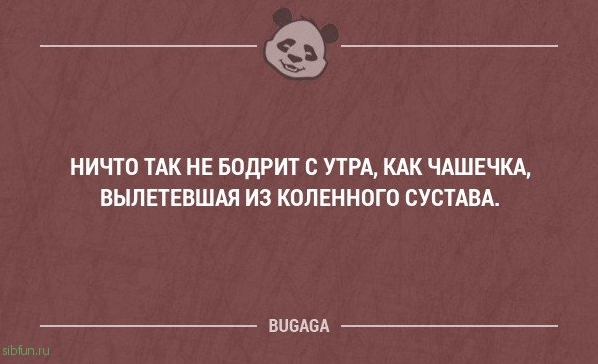 Прикольные фразы в картинках с надписями. Часть 61 