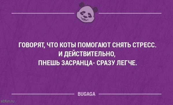 Прикольные высказывания в картинках с надписями. Часть 51 