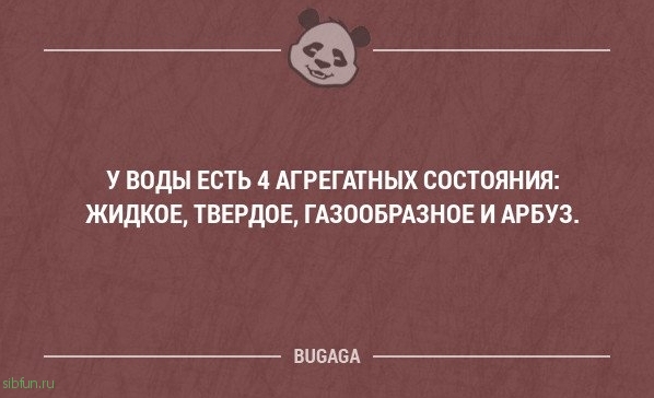 Смешные фразы в картинках с надписями. Часть 50 