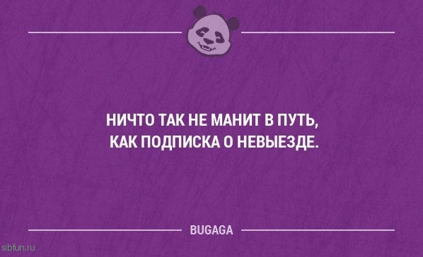 Смешные фразы в картинках с надписями. Часть 50 