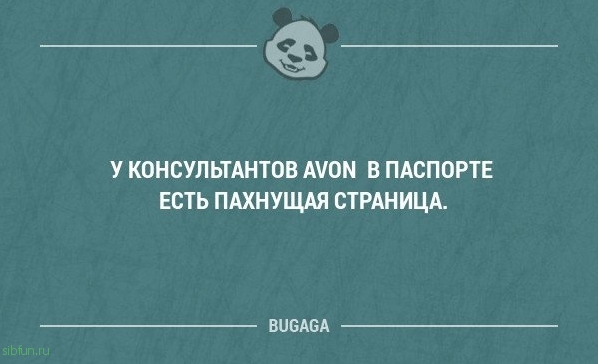 Смешные фразы в картинках с надписями. Часть 50 