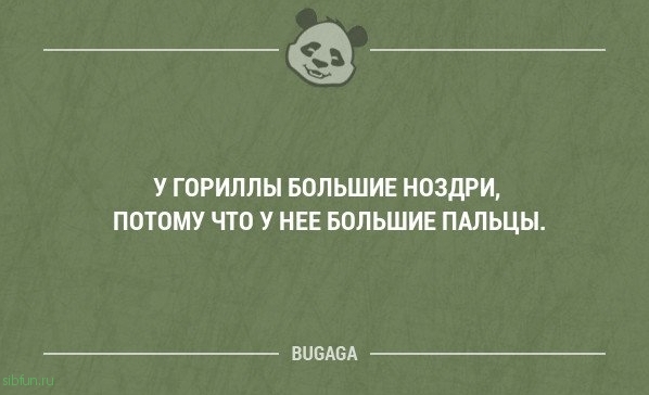 Смешные фразы в картинках с надписями. Часть 50 