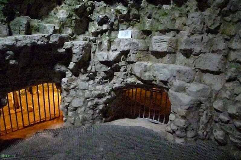 Древние вертикальные шахты по добыче кремния в Англии