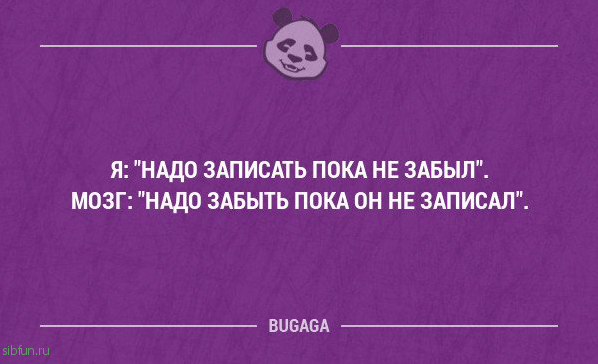 Прикольные фразы в картинках с надписями. Часть 76 