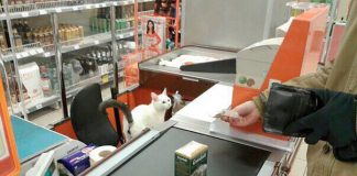 Анекдоты четверга