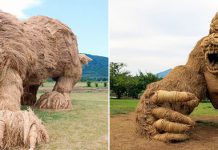 Соломенные гиганты на ежегодном фестивале Вара в Японии