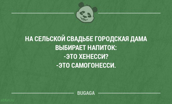 Прикольные фразы в картинках с надписями. Часть 76 