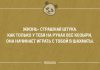 Прикольные фразы и забавные мысли в картинках с надписями. Часть 104