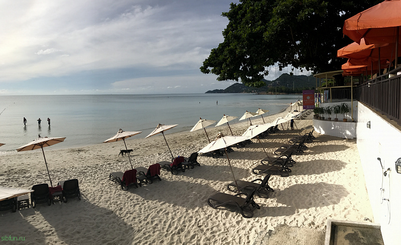 Отдых в Таиланде на острове Самуи в сентябре: погода, море, как добраться