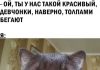 Прикольные картинки ))) # 11.11.2017
