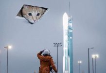 Прикольные картинки ))) # 07.12.2017