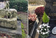 Кладбище домашних животных в Париже