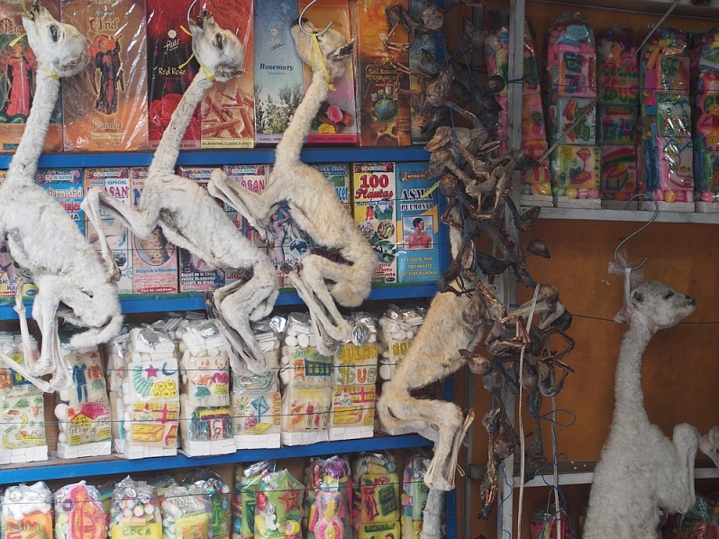 «Супермаркет для ведьм» – рынок Меркадо-де-Лас-Брухас в Боливии