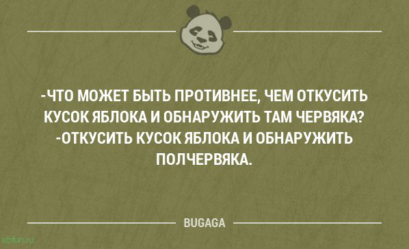 Новая порция прикольных шуток и анекдотов. Часть 144 