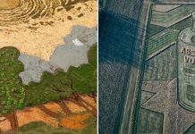 Огромные ландшафтные картины Стэна Херда