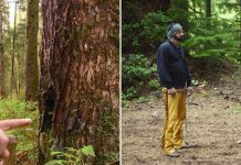 «Босоногий Сэнсэй» – бывший морской пехотинец из США, который живет в лесу и чистит зубы шишками