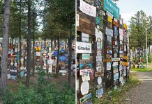 Необычный «Лес дорожных знаков» в городе Уотсон-Лейк в Канаде