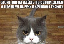 Прикольные картинки ))) # 27.02.2018